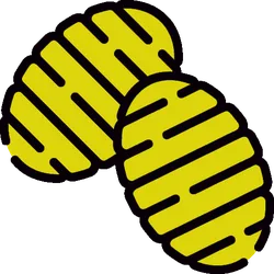 Gnocchi bestellen Wuppertal